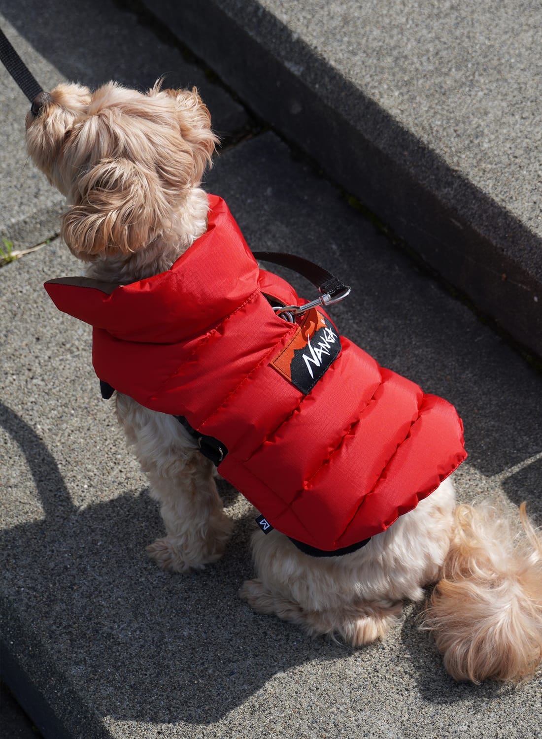 楽天市場】【ランキング1位】【返品交換送料無料】NANGA（ナンガ）DOG