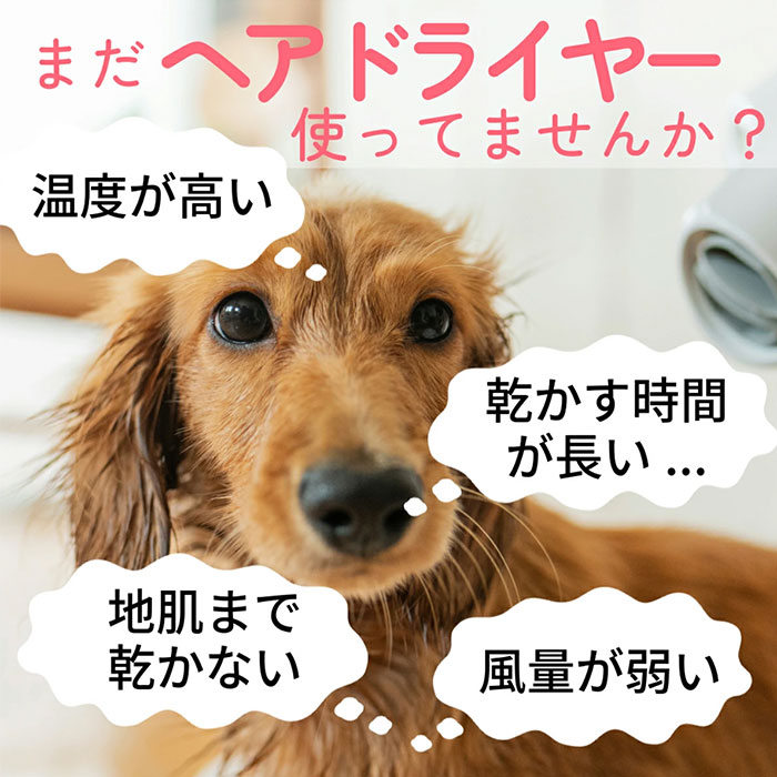楽天市場】【1100円OFFクーポン】DOG One QUICK DRY クイックドライ