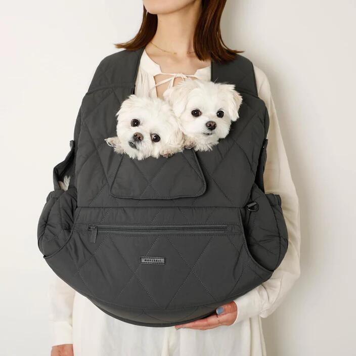 楽天市場】【LINE追加10%OFFクーポン】 moncheri モンシェリ 犬 ペット