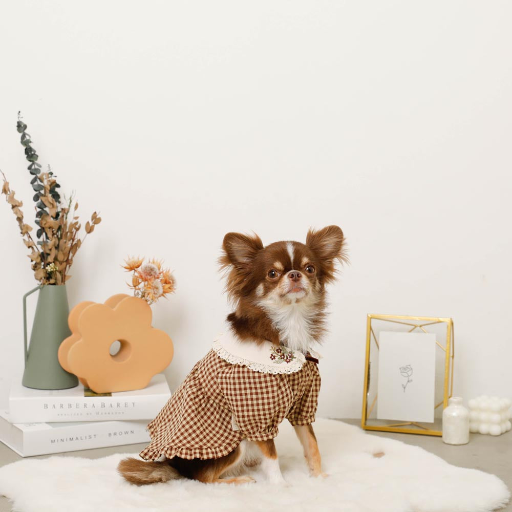 楽天市場】【期間限定20%OFF】moncheri モンシェリ 犬 服 ドッグウェア