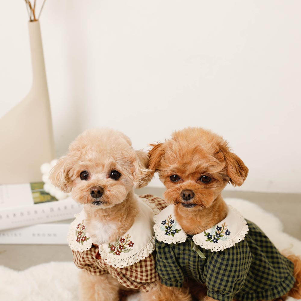 楽天市場】【期間限定20%OFF】moncheri モンシェリ 犬 服 ドッグウェア