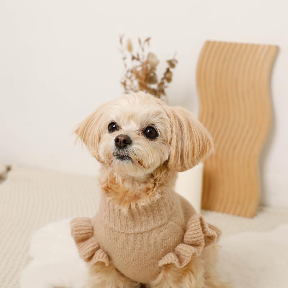 楽天市場】【期間限定20%OFF】 moncheri モンシェリ 犬 服 ドッグ