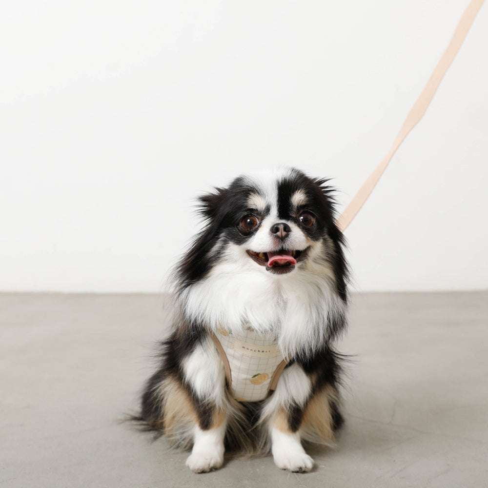 楽天市場】【期間限定20%OFF】moncheri モンシェリ 犬 ハーネス リード