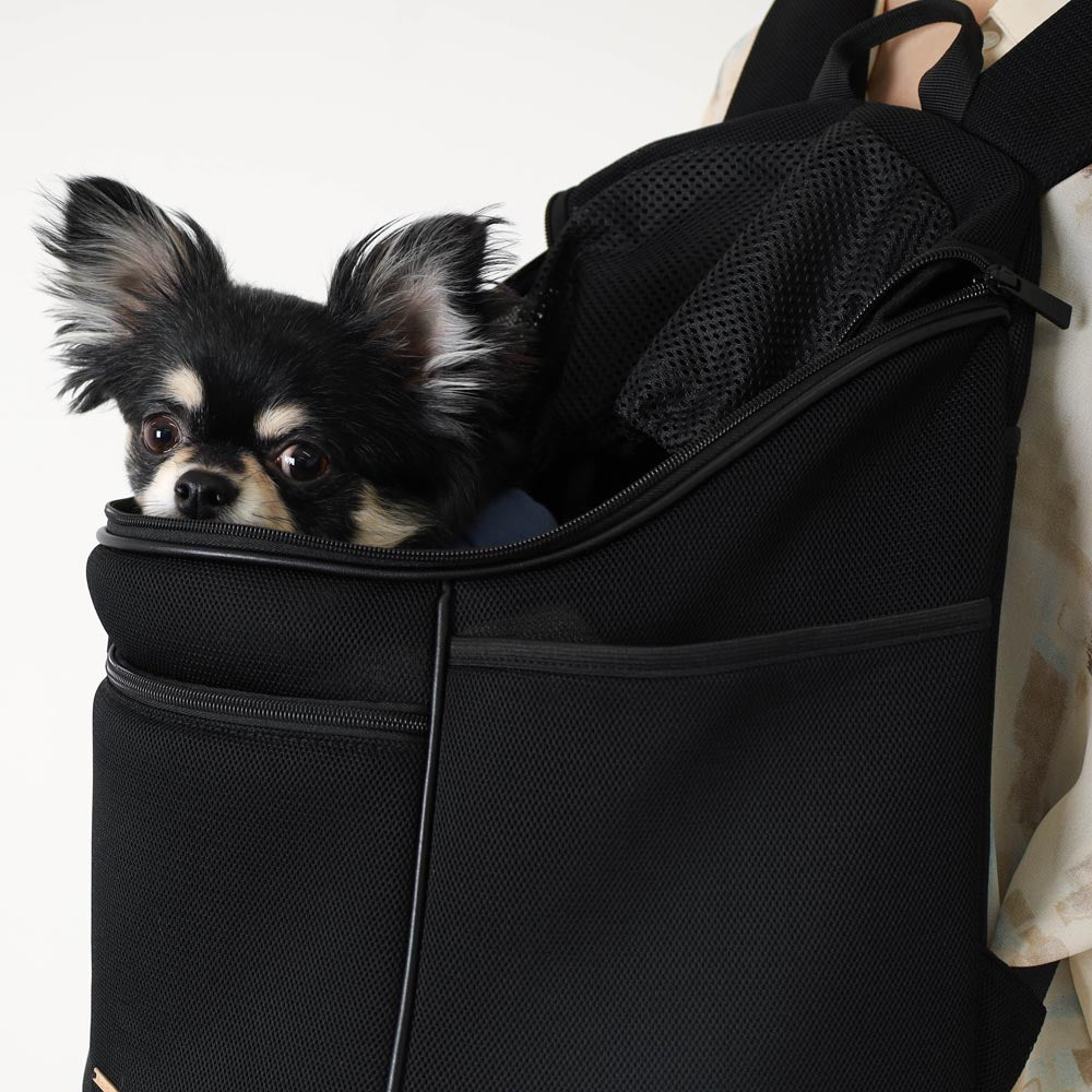 楽天市場】【LINE追加10%OFFクーポン】 moncheri モンシェリ 犬 ペット