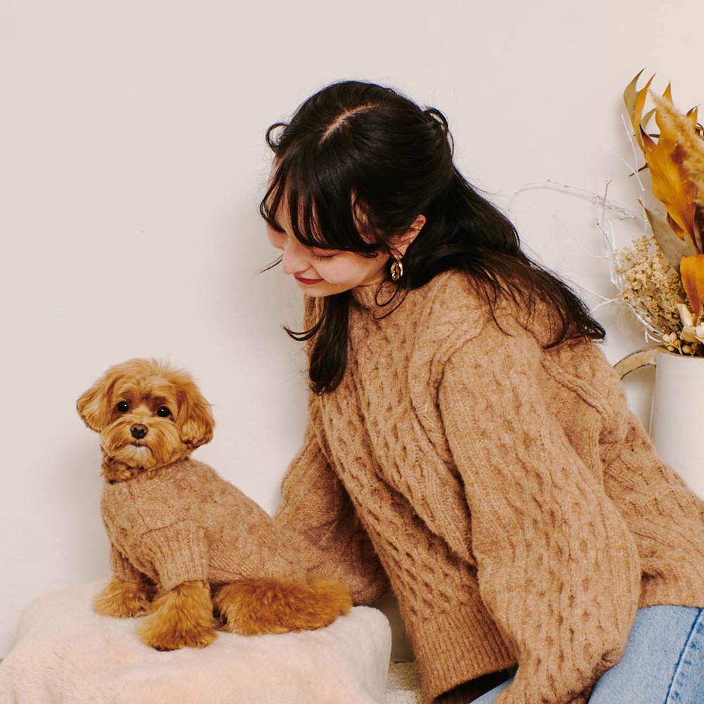 楽天市場】【期間限定40%OFF】moncheri モンシェリ 犬 服 ドッグウェア