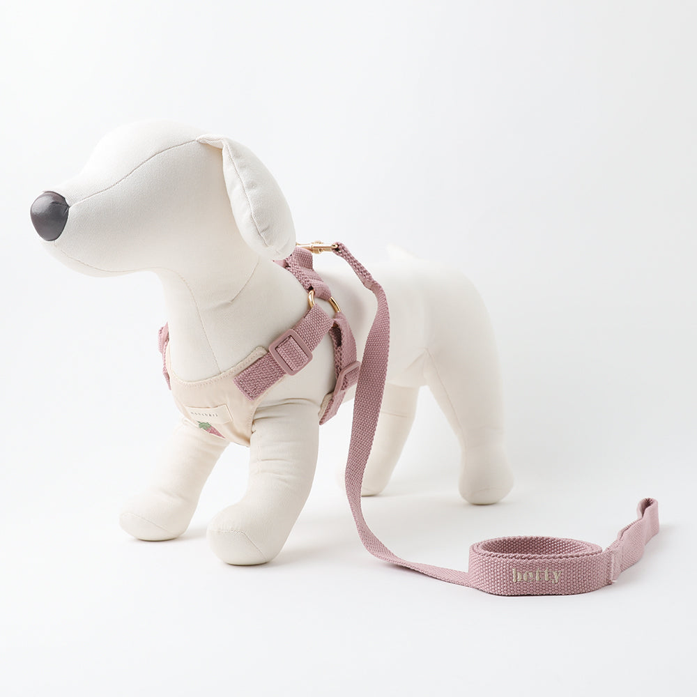 楽天市場】【LINE追加10%OFFクーポン】 moncheri モンシェリ 犬