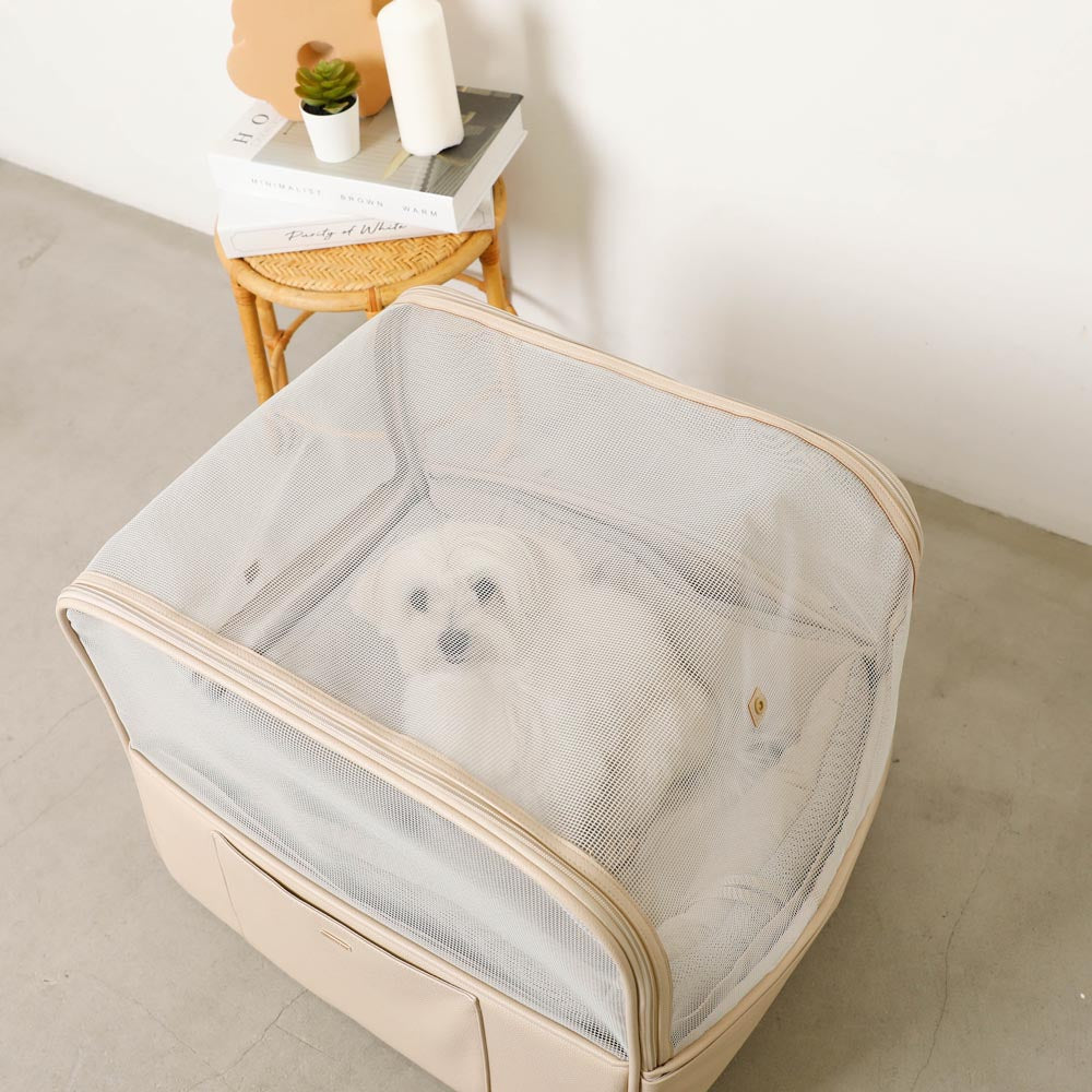 楽天市場】【期間限定10%OFF】moncheri モンシェリ 犬 お散歩 お出かけ