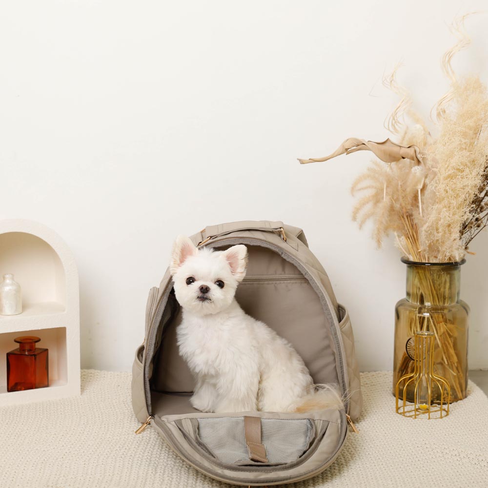 楽天市場】【LINE追加10%OFFクーポン】 moncheri モンシェリ 犬 ペット