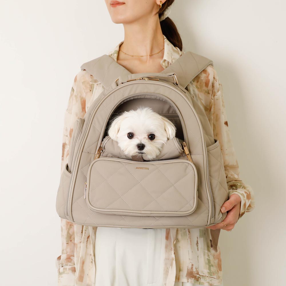 楽天市場】【LINE追加10%OFFクーポン】 moncheri モンシェリ 犬 ペット