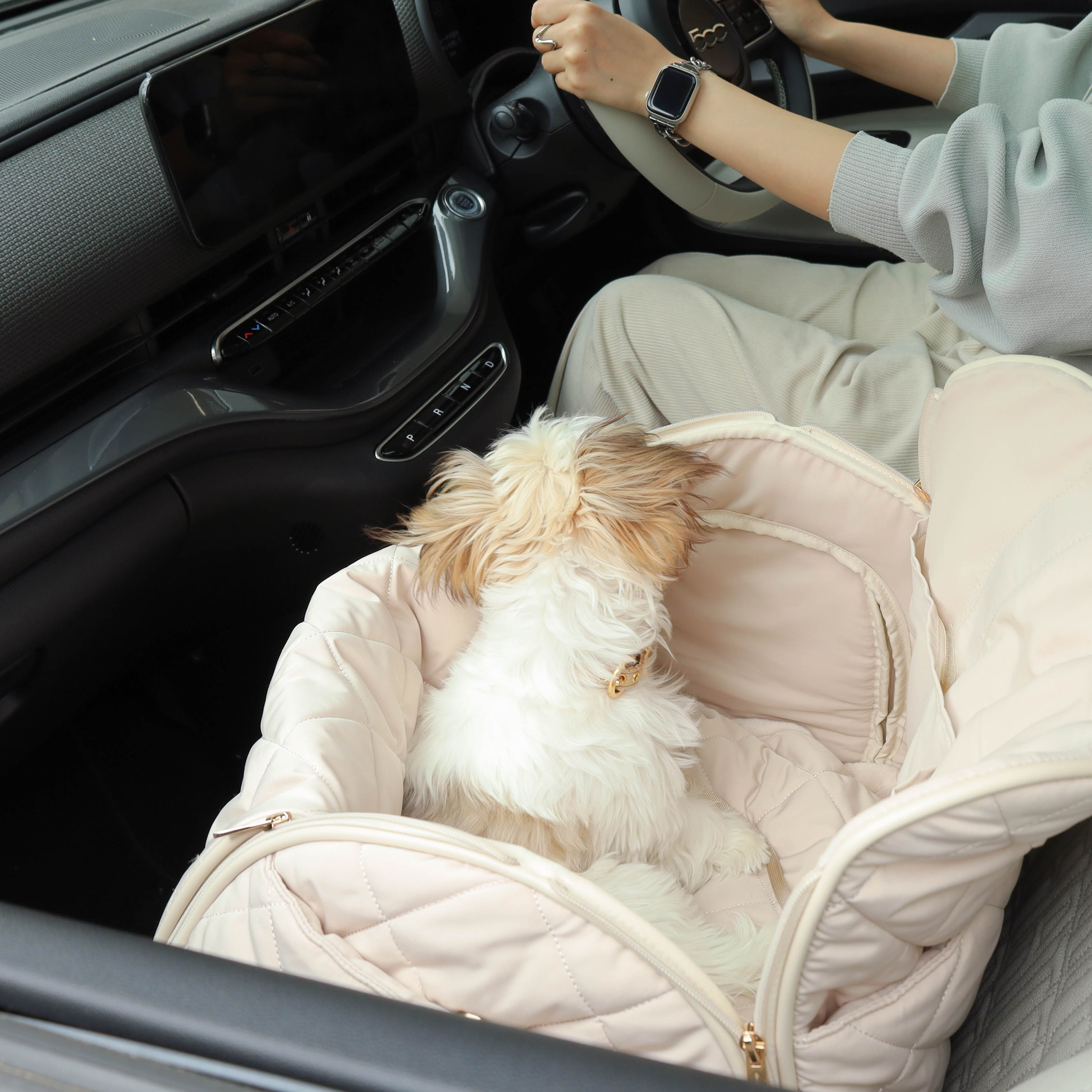 楽天市場】【LINE追加10%OFFクーポン】 moncheri モンシェリ 犬 お散歩