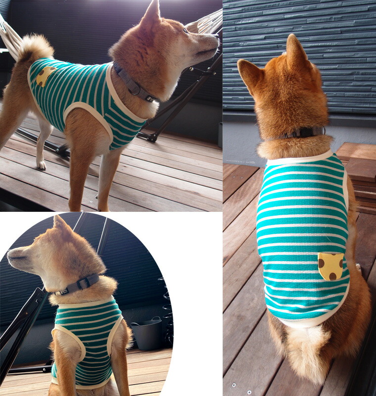 楽天市場】日本製犬服 ドッグウェア dogwear リンクコーデ タンク