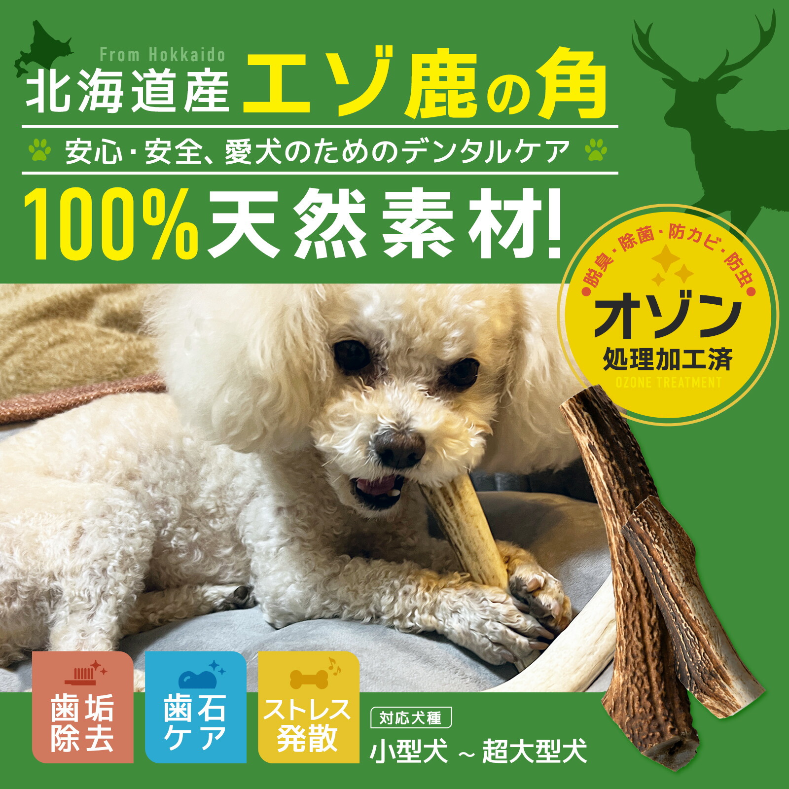 S*i様 天然蝦夷鹿の角 犬用おもちゃ 工芸品などに 複数サイズ 22番 S