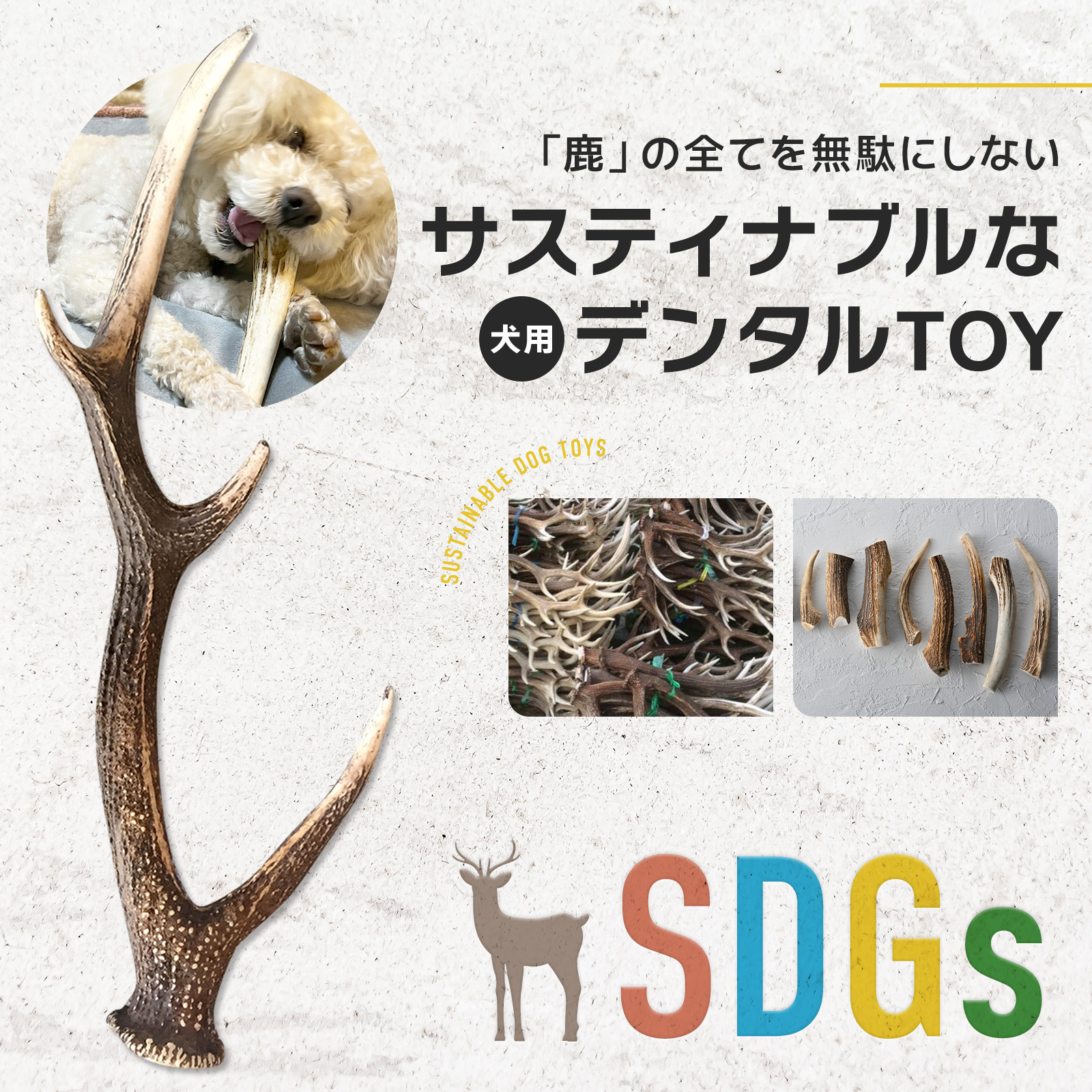 p*0様 天然蝦夷鹿の角 犬のおもちゃ 工芸品などに 8番 Amazon | 鹿角