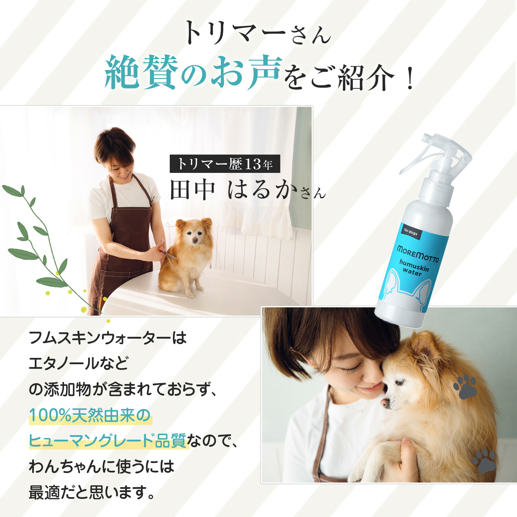 楽天市場】【 動物病院 監修 】 犬 涙やけ クリーナー フムスキン