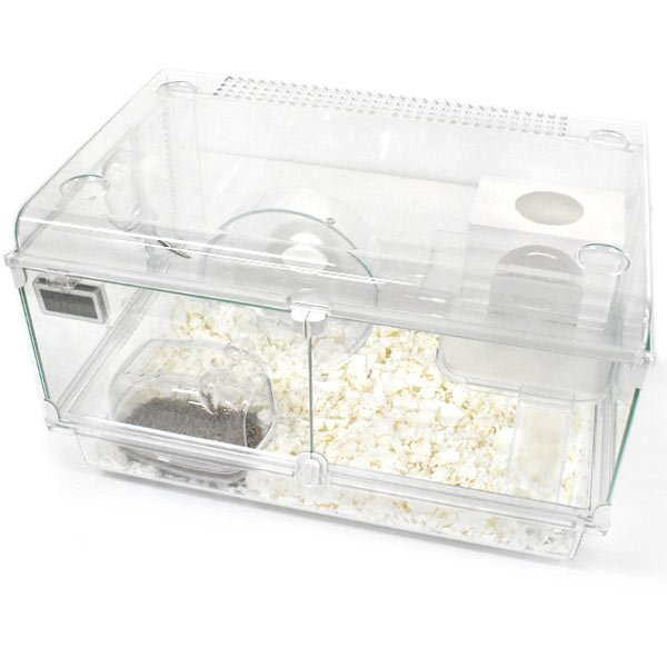 ハムスター 飼育セットまとめ売り ハーモニー450 Amazon | ジェックス