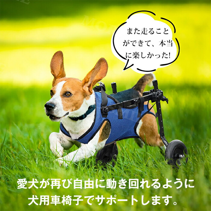 楽天市場】☆楽天1位☆犬用車椅子 犬用歩行器 ペット車椅子 歩行補助
