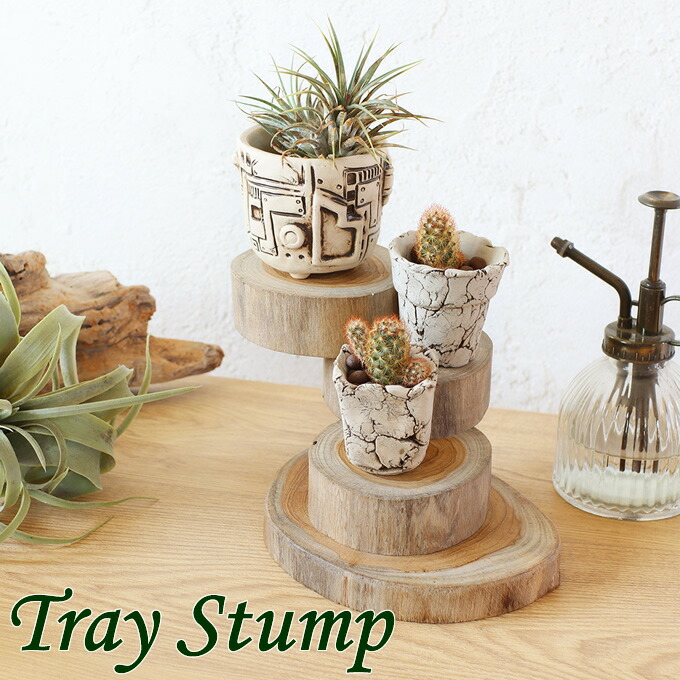 楽天市場】切り株 花台の通販