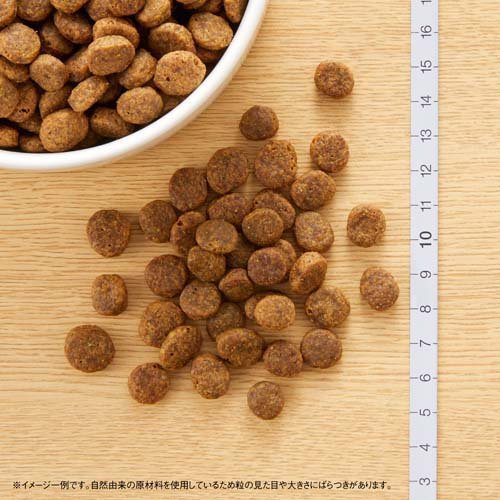 楽天市場】ニュートロ ナチュラルチョイス フィッシュ＆ポテト 全犬種