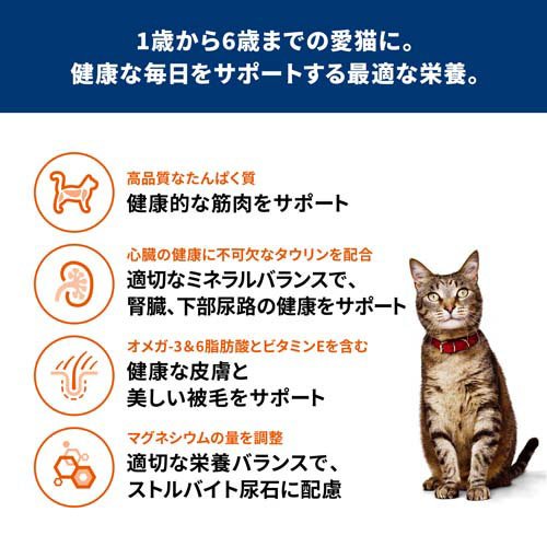 リアリズム 宮西東洋雄 肉筆日本画 直筆印あり 2025年最新】Yahoo