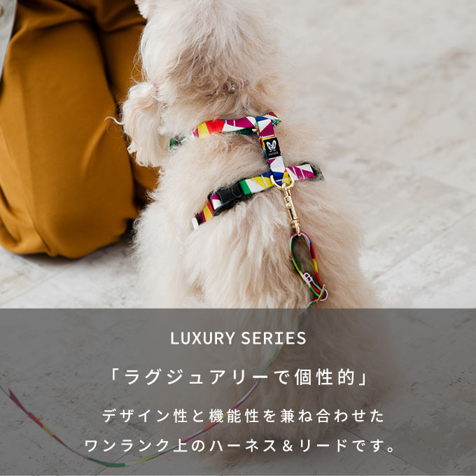 楽天市場】【今なら本革製ネームタグ プレゼント！】日本製 犬 犬用