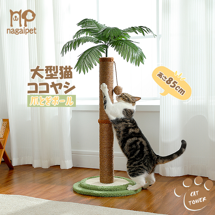 楽天市場】猫 爪研ぎポール かわいい おしゃれ ヤシの木 ココナッツ