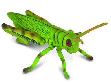 楽天市場】【即日発送 あす楽】collecta （コレクタ）昆虫 バッタ