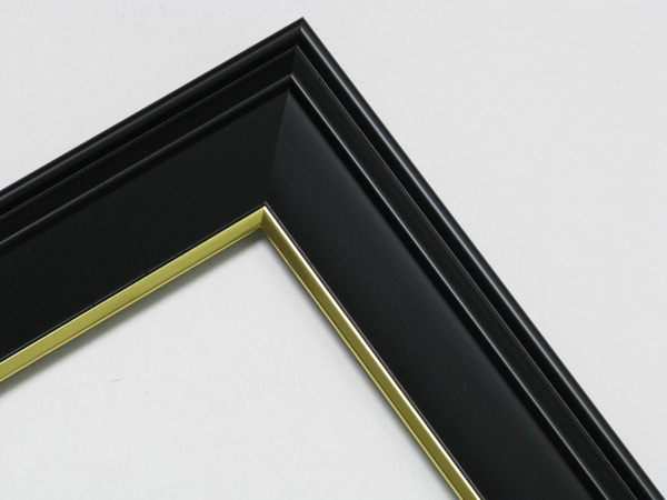 写真用額縁 DNP ギャラリーⅡ A4 ブラック 5枚セット1 写真用額縁 DNP