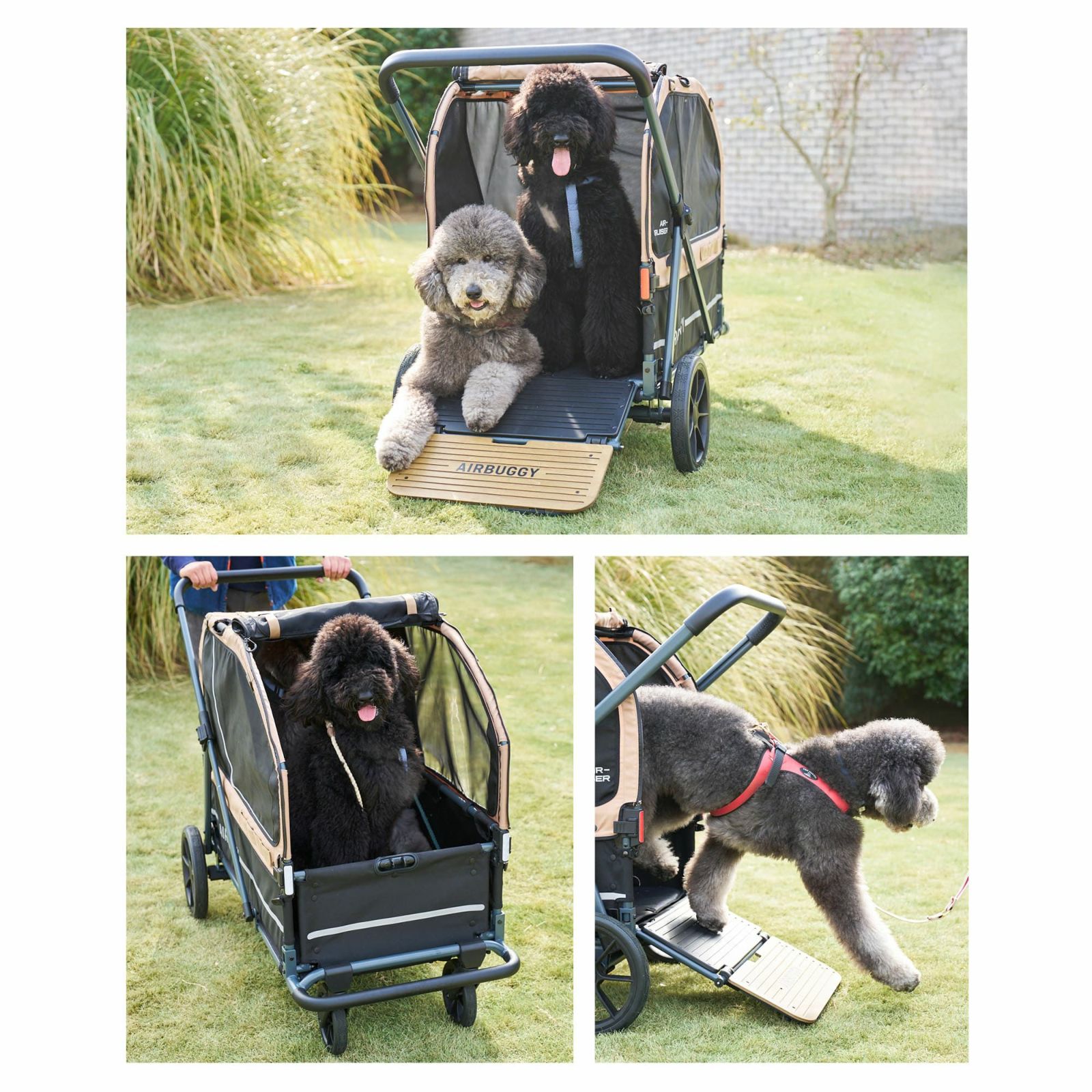 楽天市場】【店内ポイント最大39倍！本日限定！】エアバギー フォー