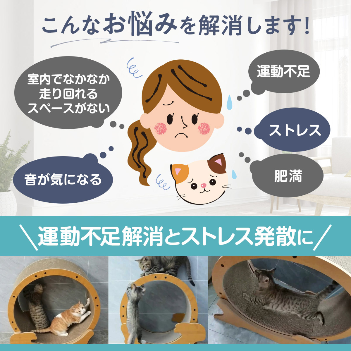 楽天市場】【店内ポイント最大40倍！本日限定！】HappyDays キャット