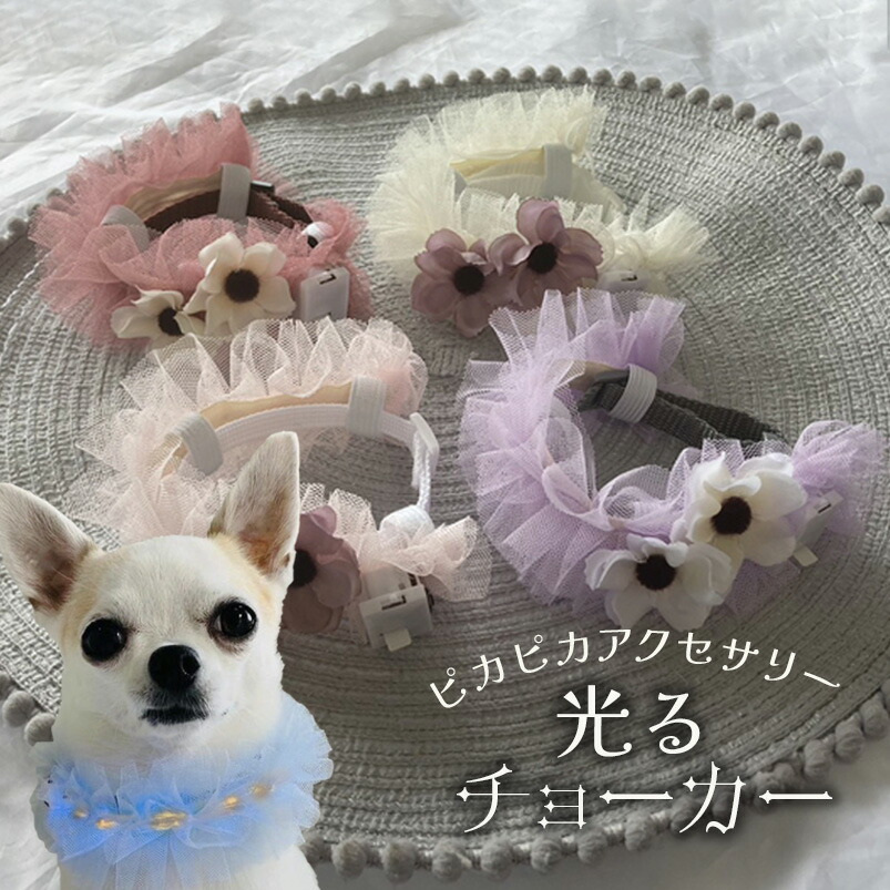 楽天市場】犬 飾り 電気 光る 祭りドッグ 衣装 夜 花冠 全犬種 花