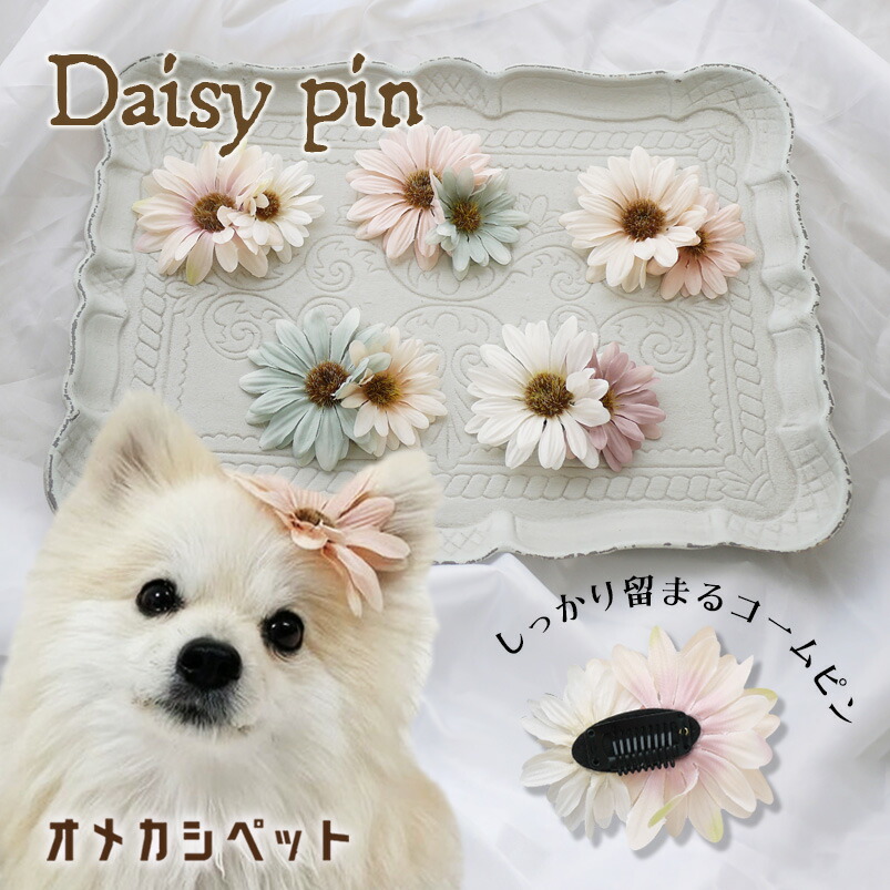 楽天市場】犬 帽子 ヘアアクセ 花 犬服 飾り ぱっちん 全犬種 チワワ