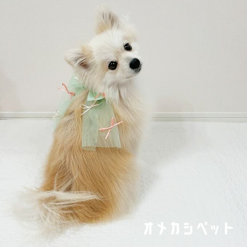 CandyBuppie 犬服 リボン ヘッドドレス チョーカー ドッグウェア