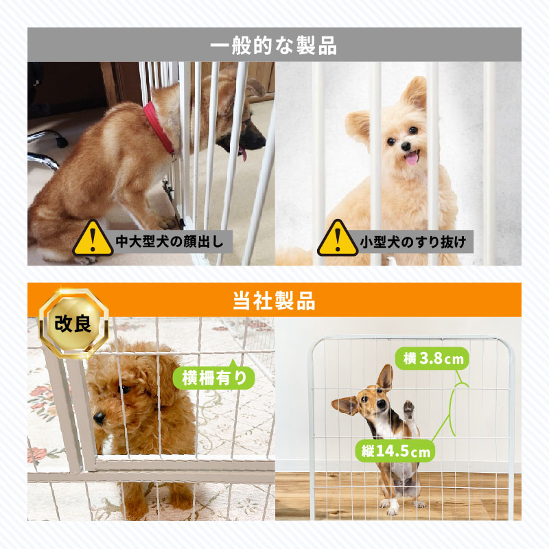 楽天市場】＼本日限定10％offクーポン／わおんにゃおんの日【すり抜け