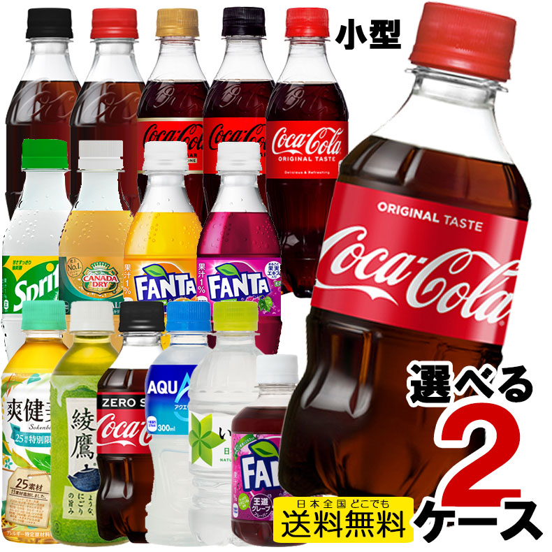 コカ・コーラ空ペットボトル ラスベガス販売品 10本セット 購入 コカ