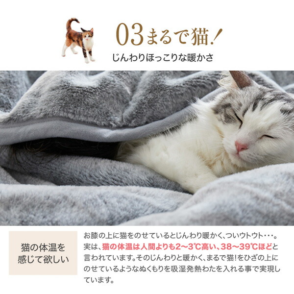 楽天市場】≪TVで紹介≫【猫Feel】まるで猫！のようなモフモフラウンド