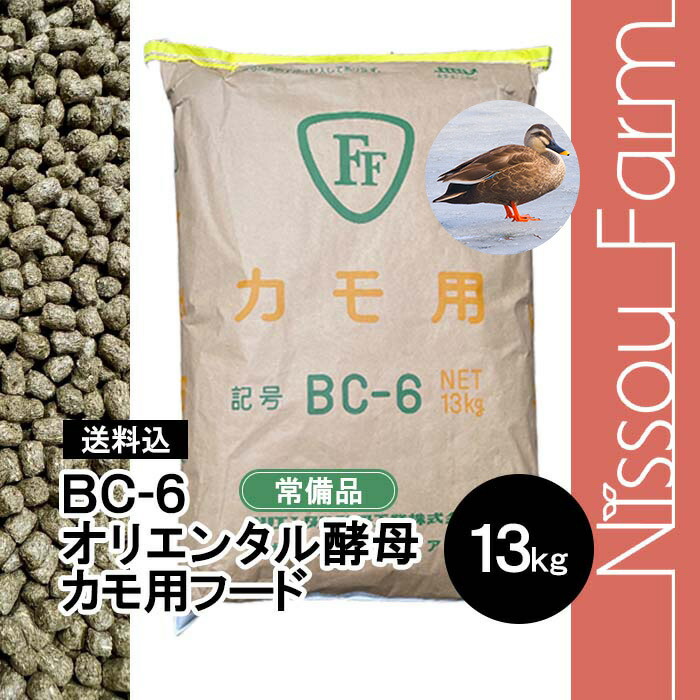 imgrc0103090326.jpg?fitin=720:720