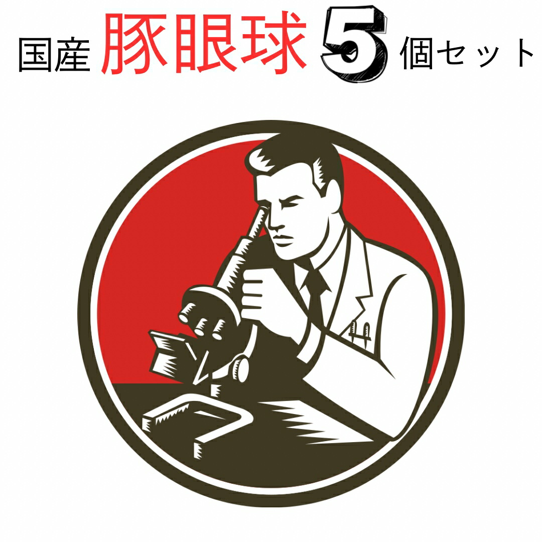 楽天市場】翌日配達 国産 豚 眼球 1パック5個入 目玉 教材 筋肉 繊維