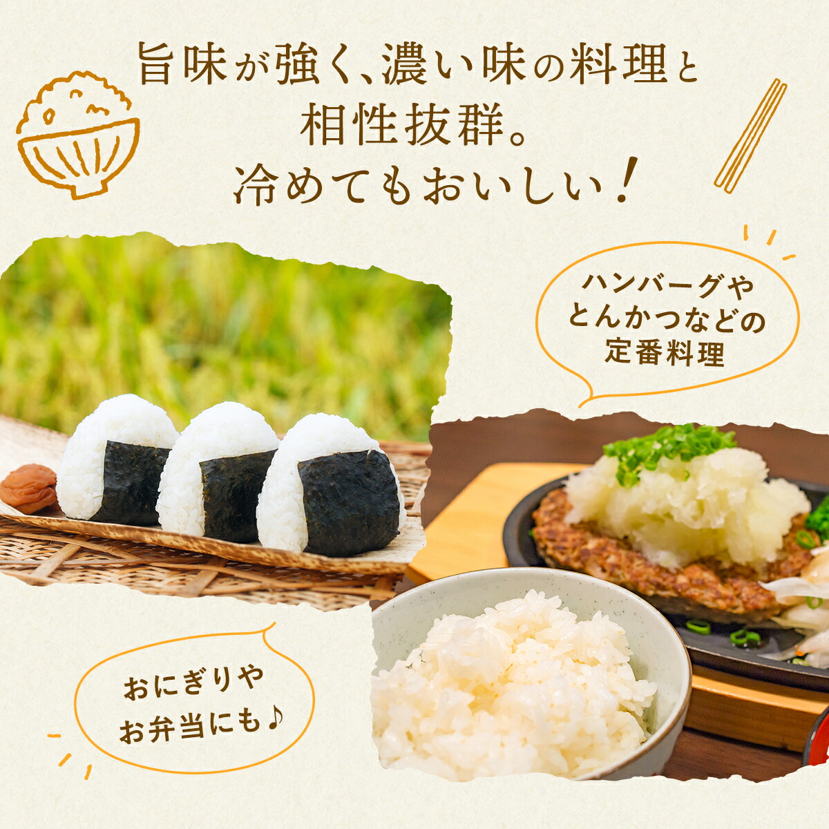 北信州産コシヒカリ 令和6年収穫分 天日干し 白米10kg オンライン 北