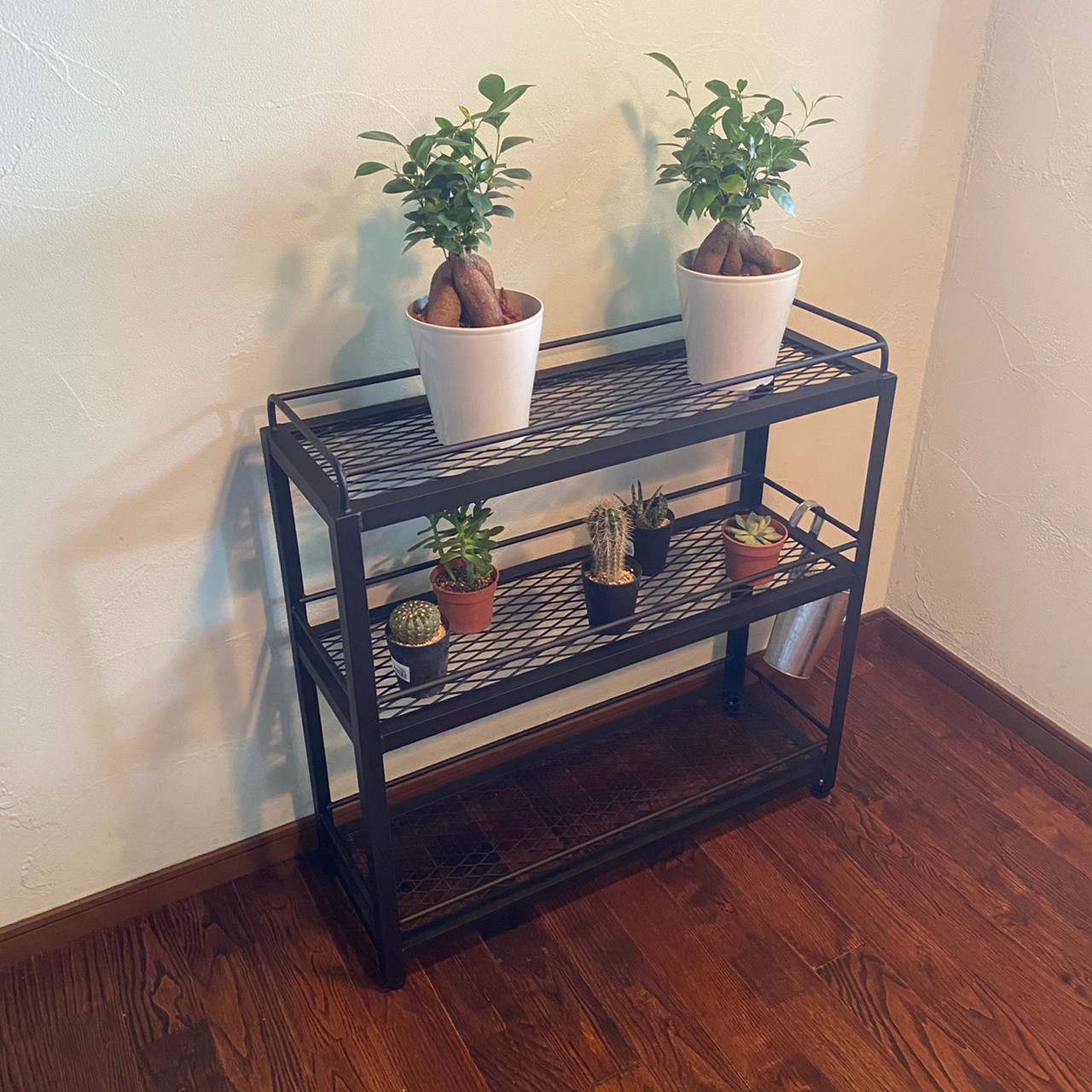 楽天市場】アイアン シェルフ 3段 植物棚 幅800-1200*高さ700*奥行300