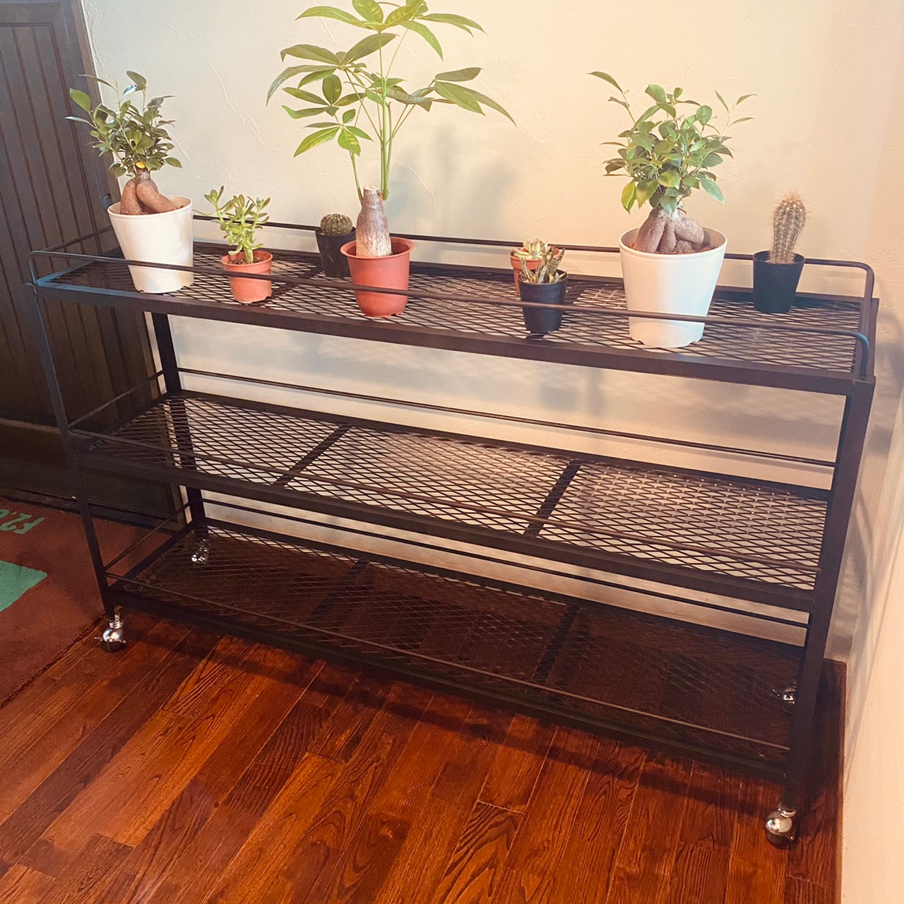 アイアンシェルフ3段棚 多肉植物 アガベ 植物棚 シャビー塗装 【公式