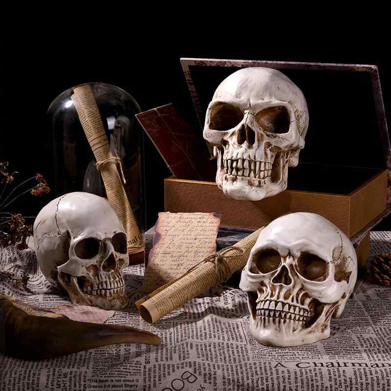 楽天市場】置物 ハロウィン ホラー リアル 樹脂製 スカルヘッド ドクロ