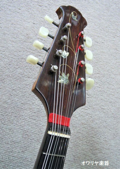 Raffaele 寺田楽器製 ハイエンドマンドリン RM-3 RAFFAELE CALACE