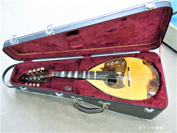 楽天市場】カラーチェマンドリンNo.15オールド RAFFAELE CALACE