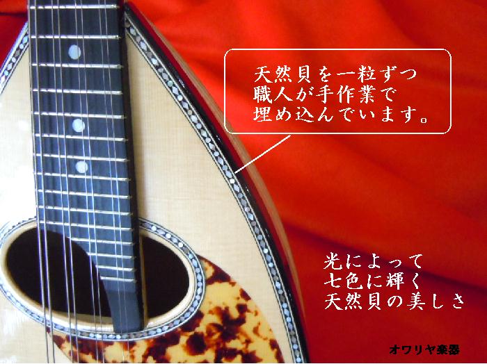 楽天市場】マンドリン 渦巻きヘッド・リブ胴 高級マンドリン : おかげ