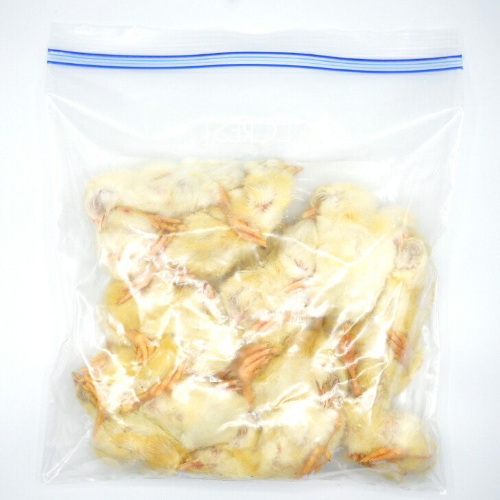 冷凍ヒヨコ 冷凍ひよこ 1羽22円 300羽セット 25羽×12袋