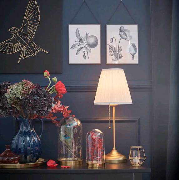 楽天市場】IKEA イケア PJÄTTERYD プィエッテリード アート, 黄金の鳥