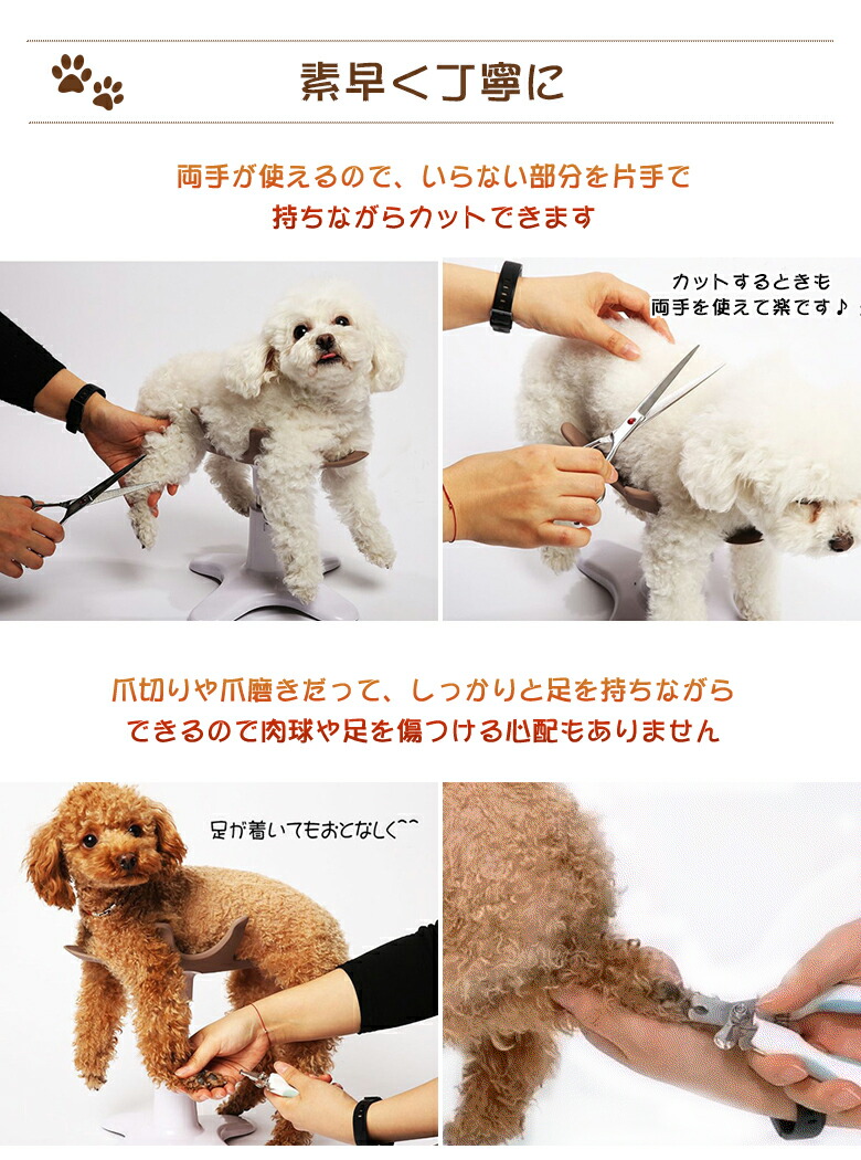 楽天市場】【リニューアルバージョン】サムソンサロン samson salon 犬
