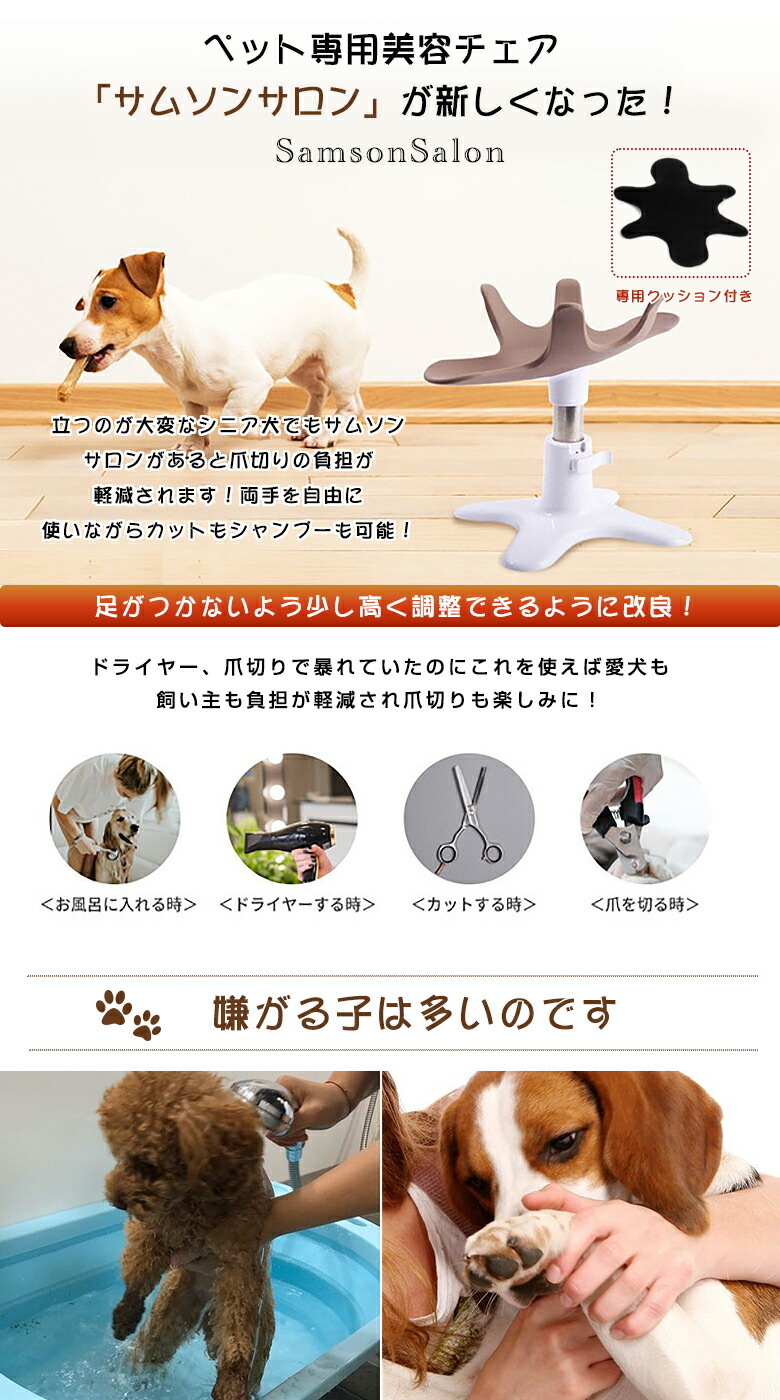 楽天市場】【リニューアルバージョン】サムソンサロン クッション