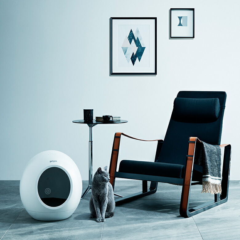 楽天市場】petyes ROOM ペティエス ルーム 床冷暖房付きルーム ハウス