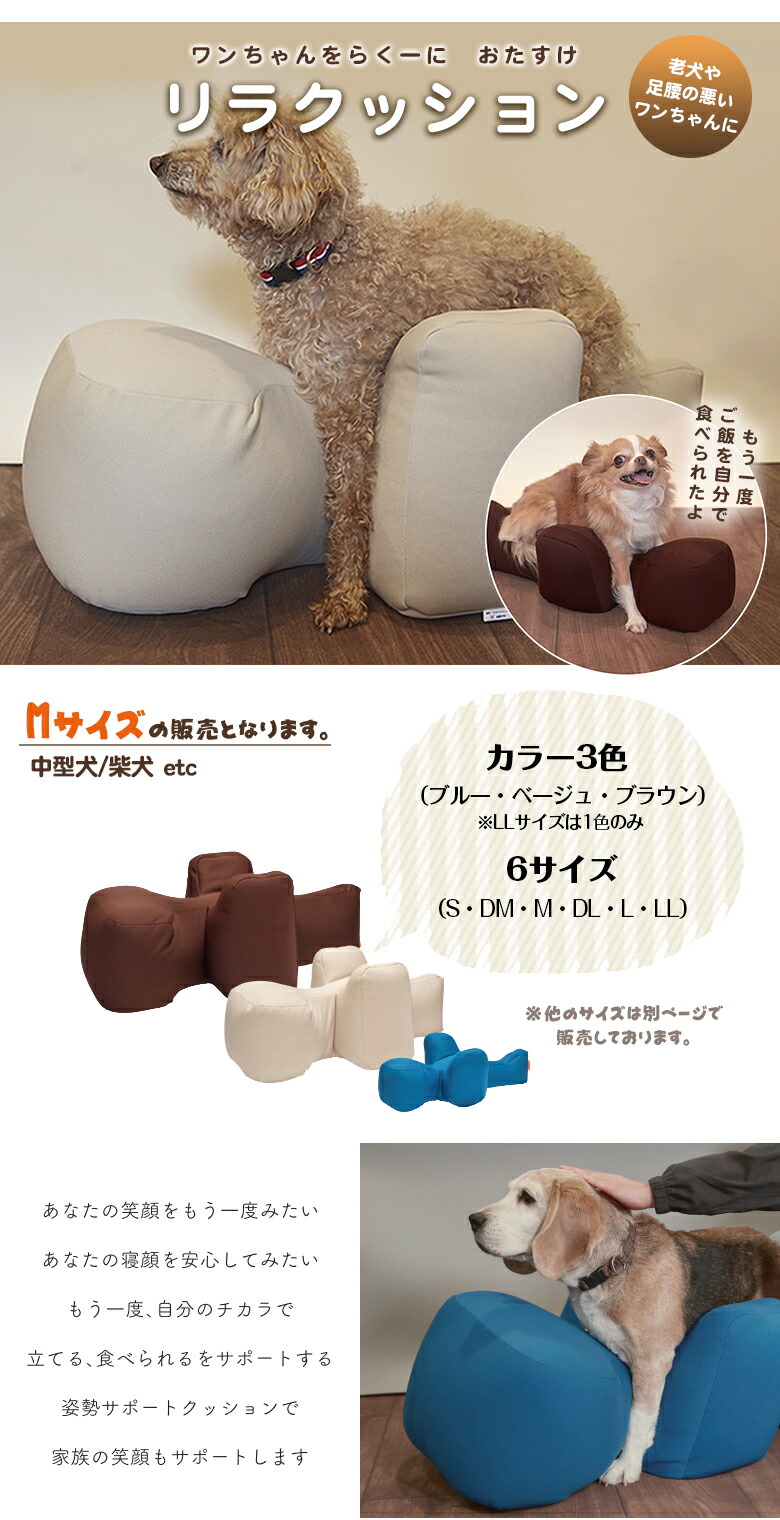 専用カバー付き】OneAid リラクッション M ブルー Amazon | OneAid